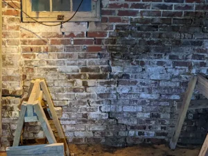 Home inspector examining crawl space for moisture damage in Charlotte home
