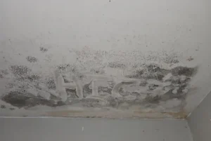 Mold found on the ceiling Charlotte North Carolina
