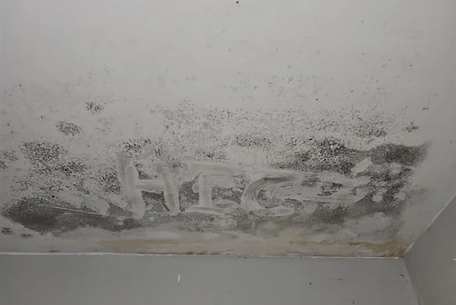 Mold found on the ceiling Charlotte North Carolina